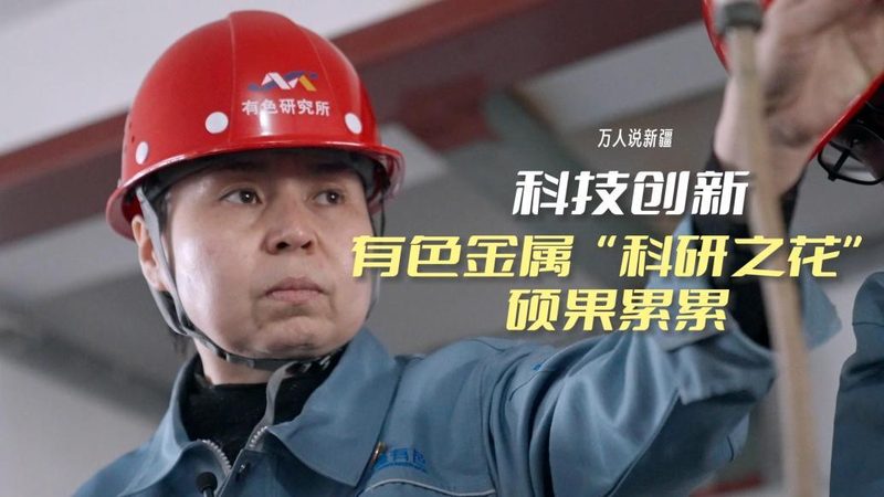 数据仓库Hadoop方案实施：揭秘高效大数据处理之道
